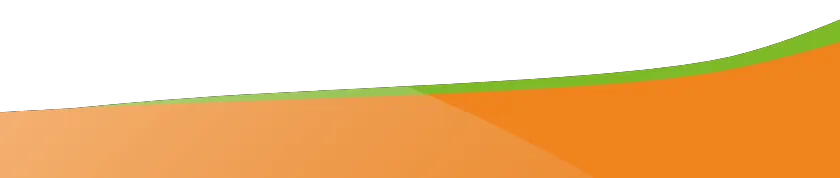 CareBoxONE, Hintergrundbild, orange mit grünem Strich